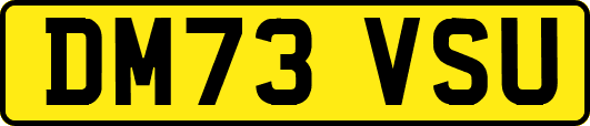 DM73VSU