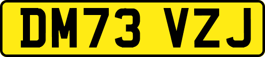 DM73VZJ