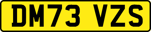 DM73VZS