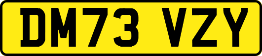 DM73VZY