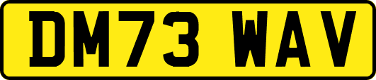 DM73WAV
