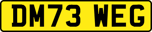 DM73WEG
