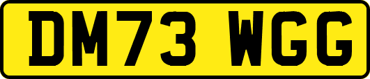 DM73WGG