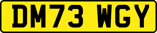 DM73WGY