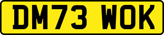 DM73WOK