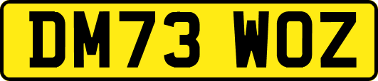 DM73WOZ