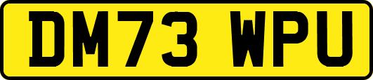 DM73WPU
