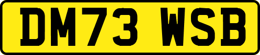 DM73WSB
