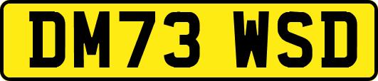 DM73WSD