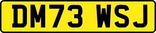 DM73WSJ
