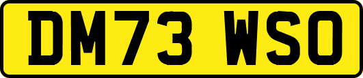 DM73WSO