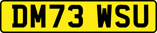 DM73WSU