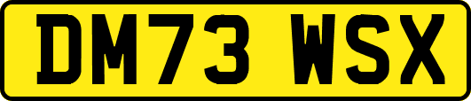 DM73WSX