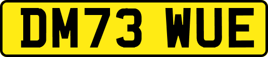 DM73WUE