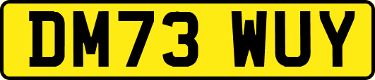 DM73WUY