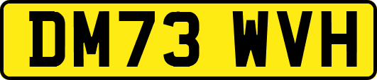 DM73WVH