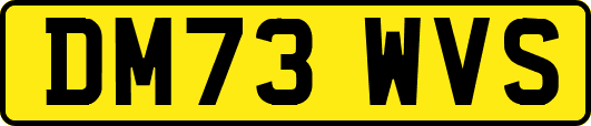 DM73WVS