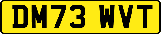 DM73WVT
