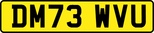 DM73WVU