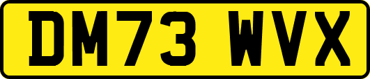 DM73WVX