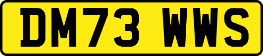 DM73WWS