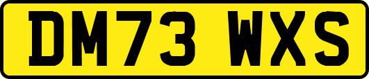 DM73WXS