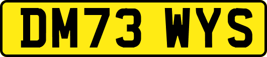 DM73WYS