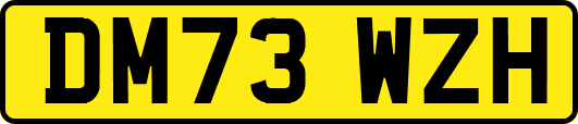 DM73WZH