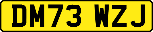 DM73WZJ