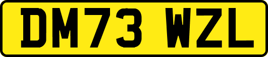DM73WZL