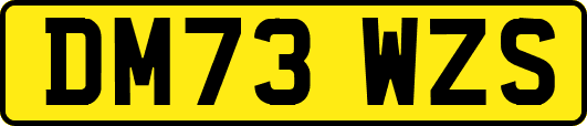 DM73WZS