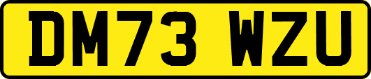 DM73WZU