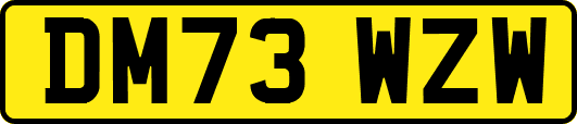 DM73WZW