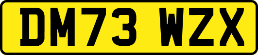 DM73WZX