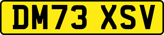 DM73XSV