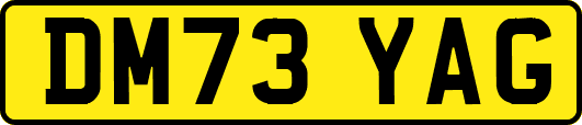 DM73YAG