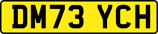 DM73YCH