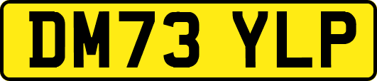 DM73YLP