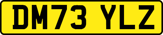 DM73YLZ