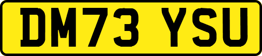DM73YSU