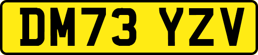 DM73YZV
