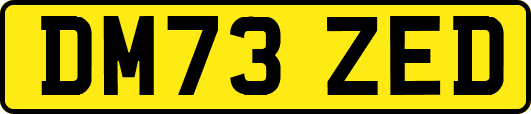 DM73ZED