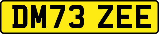 DM73ZEE