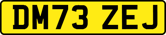 DM73ZEJ