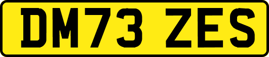 DM73ZES