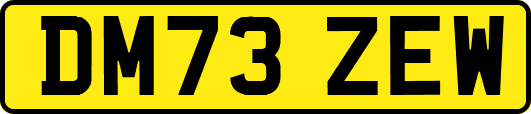 DM73ZEW