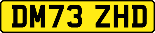 DM73ZHD