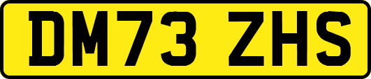 DM73ZHS