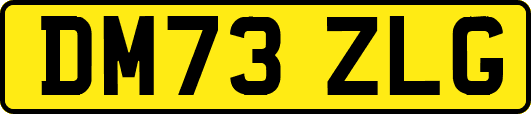 DM73ZLG