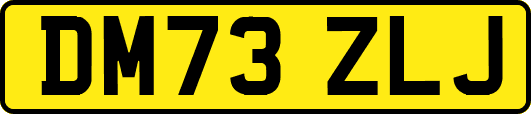 DM73ZLJ